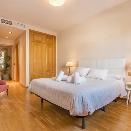 Central, Spacious Parking Apartment Granada